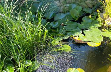 Haus Granitzblick - Foto 26