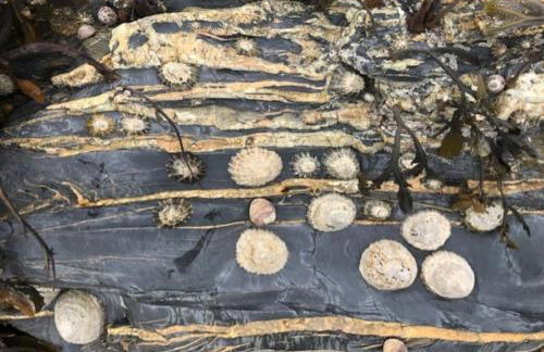 The Moorings - Just a few metres from the sea! - Photo 25