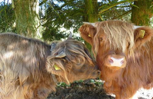 Ferienwohnung Auszeit -Gipfhof- - Foto 27