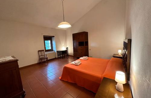 Il Palluccaro - Foto 40