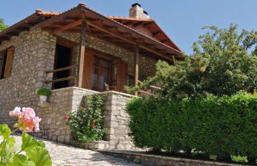 Petrina Theohari - Foto 32