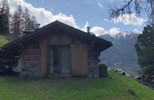 LA VOCE DEL BOSCO Selva di Cadore - Foto 33