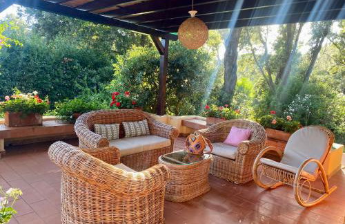 Villa Elisa - Foto 3