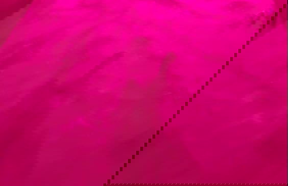 Cozy Home On The Amazon Border - Foto 10