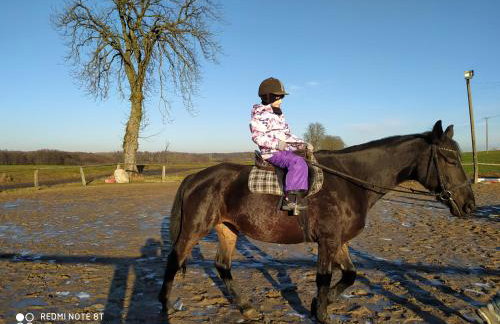 Dom drewniany na Kaszubach, rzeka, las, pola, niedaleko jeziora - Foto 12