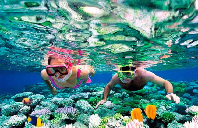 Snorkelling in Pigeon Island - Foto 5