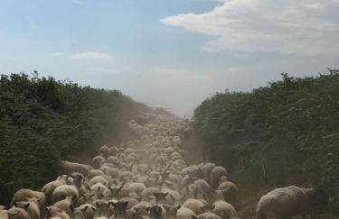 Jacks Cottage - Foto 25