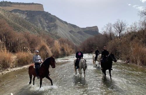 Apartamentos La Granja - Foto 19