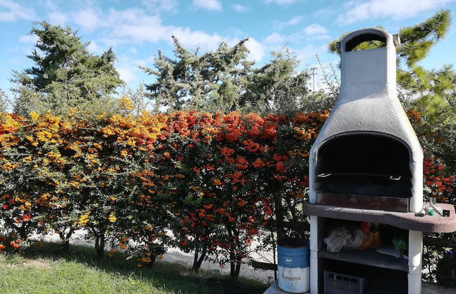 Agriturismo Fossederi - Foto 46