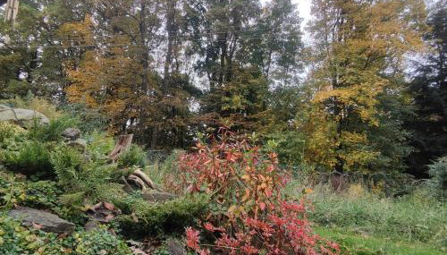 Kwietna łąka na szlaku - Foto 3