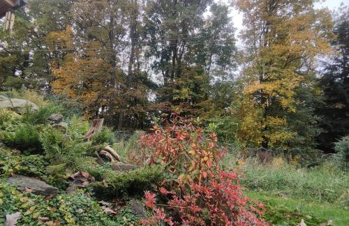 Kwietna łąka na szlaku - Foto 3