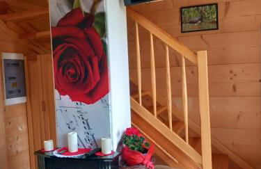 Domki Zielone Skałki - Foto 12