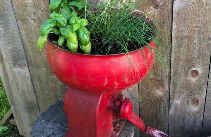 Baita Alpenrose - Photo 38