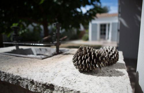 Parad'iles - Foto 12