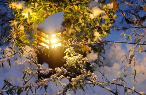 Apparthotel Gartenresidence Nalserhof - Foto 28