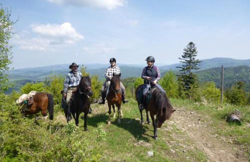 Górskie Siedlisko - 3 Chaty - Foto 67