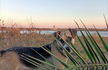 Cantunera Barbára - Foto 19