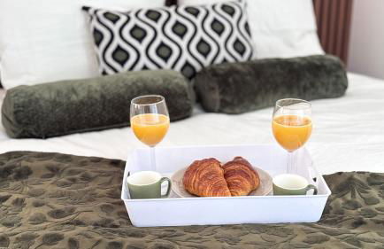 Studio récent avec terrasse Airbus Aéroport - Foto 21