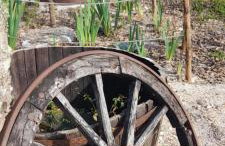 Quinta da Bolota Guest House - Foto 4