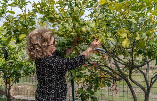 Macchia Verde - Foto 19