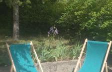 Charmant T2 spacieux au pied de Montdauphin - Foto 22