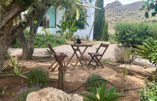 La Washingtonia - Foto 78