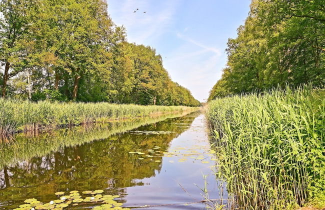 Chalet in Reutum With Sauna and Nature - Foto 36