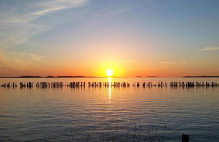 2 Raumwohnung mit sonniger Terrasse und Seeblick - Foto 25