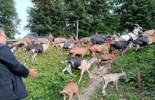 Studio en station de ski familiale, vue sur les montagnes - Foto 23