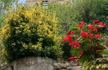 Chateau appartement tussen Mont Ventoux en Luberon - Foto 19