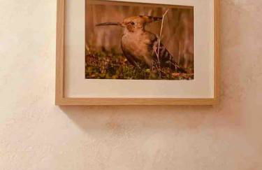 CASA RURAL VILLARRUBIA - Foto 29