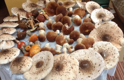 Apartamenty Pod Jesionem - Foto 24