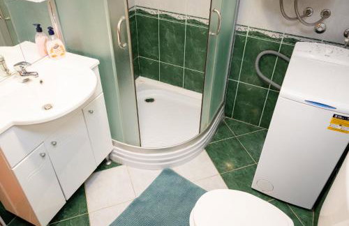 Dalmatian - Photo 47