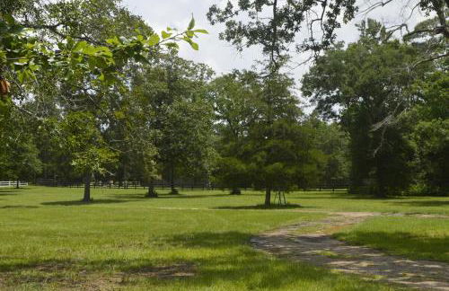 Gorgeous 10 Acre Modern Farmhouse & Private Pond - Photo 20