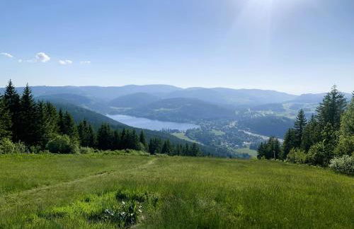 Ferienwohnung Traumwerk Titisee - Foto 16