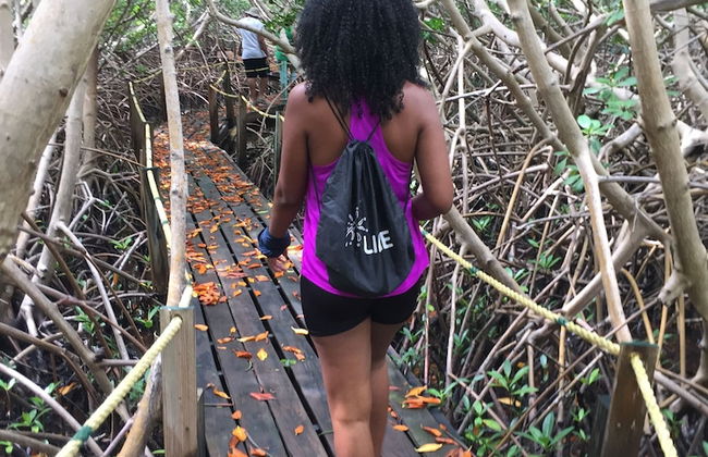 South Coast Horizons - Photo 78