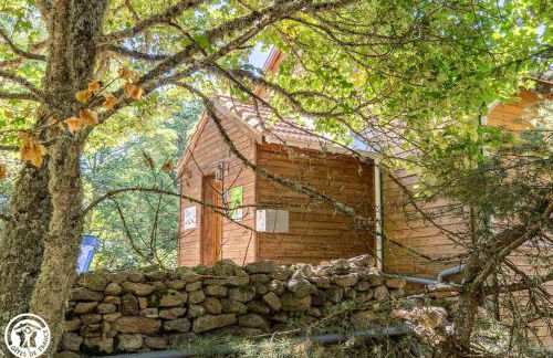 Le Chalet des Forêts Enchantées - Foto 1