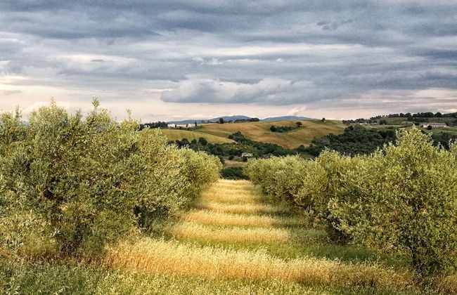 Agriturismo Casa Greppo - Il Melograno - Foto 37
