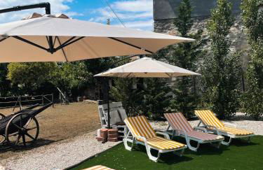 Casa da Nogueira - Foto 6