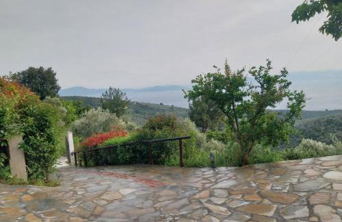 Panorama Studio Afetes - Photo 14