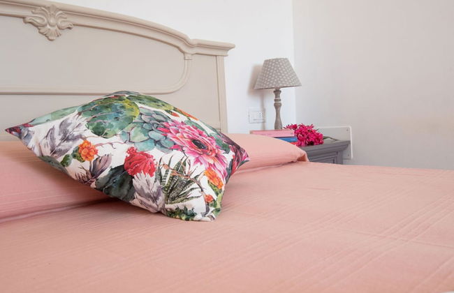 Agriturismo Campo All'Olmo - Foto 9