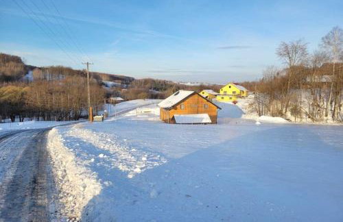 Holiday Home Wi niowa with Pool and Mountain Views - Photo 33
