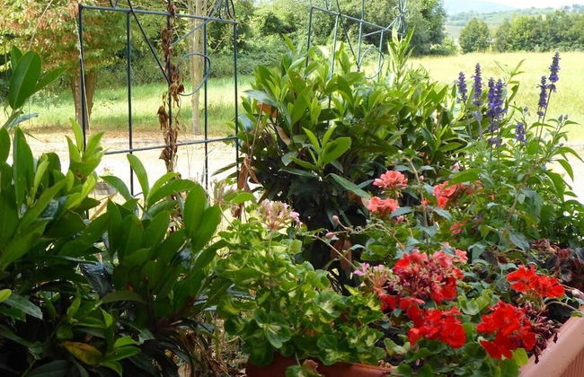 Appart'Hotel Les Acacias - Foto 21