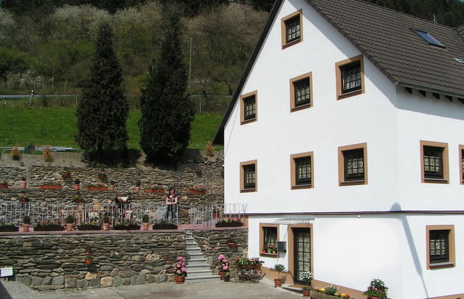 A Modern Apartment in the Hunsruck Region's Romantic Drohn Valley - Photo 74