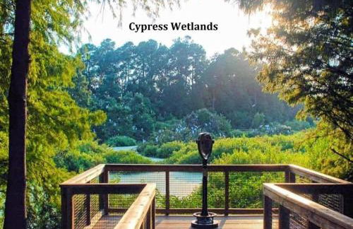 New Listing - Historical Home in Mossy Oaks - Foto 35