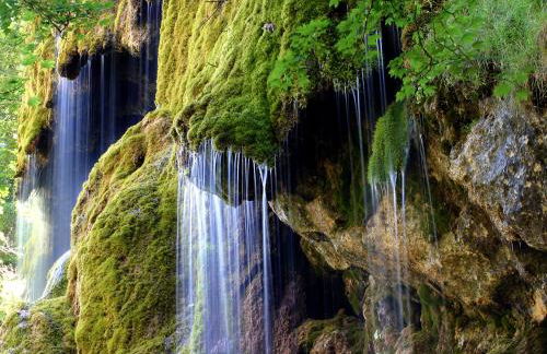 Fischer`s Postresidenzen Ettal - Foto 70