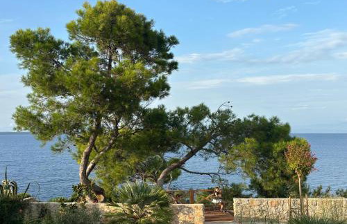 Sea Sage Suites - Foto 44