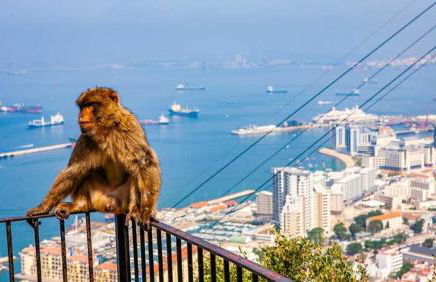 Apartamentos Albeniz - Foto 46