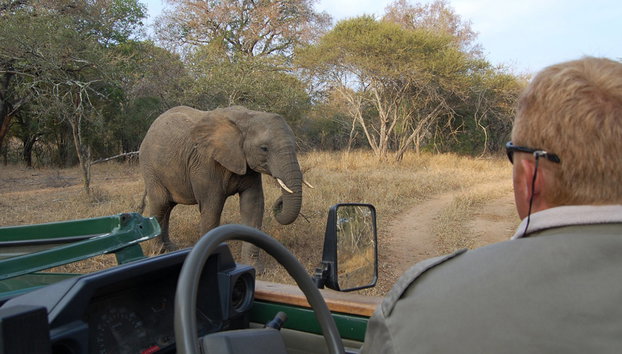 Kruger National Park Open Vehicle Safari - Photo 4