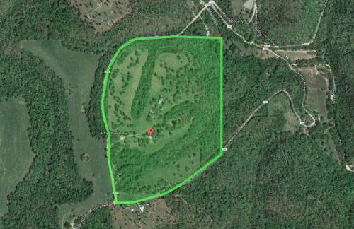 Buffalo River Lodge St Joe AR - Foto 52